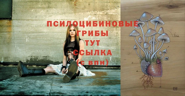 прущая мука Алексеевка