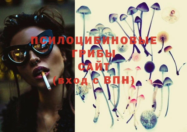 шишки Алзамай