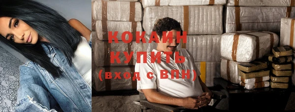 шишки Алзамай