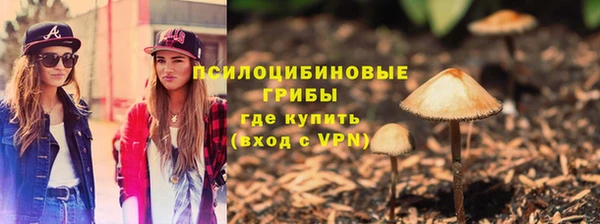 шишки Алзамай