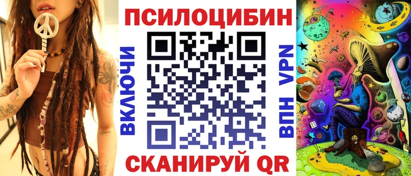 Псилоцибиновые грибы Cubensis  Бодайбо 